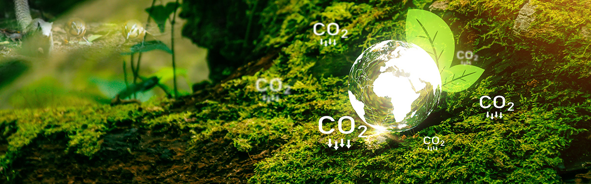 Cuantificación y Reducción de Gases de Efecto Invernadero Mediante Proyectos
