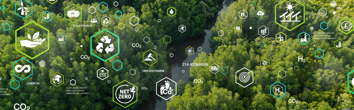 How ISO Standards Can Guide Your Sustainability Journey